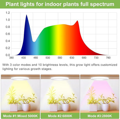 Full Spectrum Grow Light for Indoor Plants, 144 LEDs Halo Plant Light with Auto On/Off Timer (4/8/12H), 10-Level Brightness, 3 Lighting Modes, for Small Plants & Seedlings (White, Dual Head)