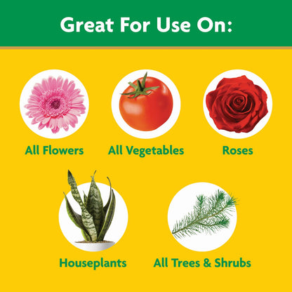 Miracle-Gro Water Soluble All Purpose Plant Food, 3 lb.
