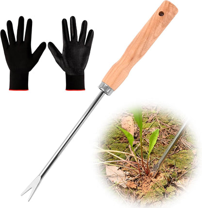 Wooden Handle Dandelion Weeder Tool - Polished Stainless Steel Dual - Forked Head Dandelion Weeder Puller Tool for Planting, Weeding, Flower & Vegetable Care with Nylon Nitrile Coated Gloves