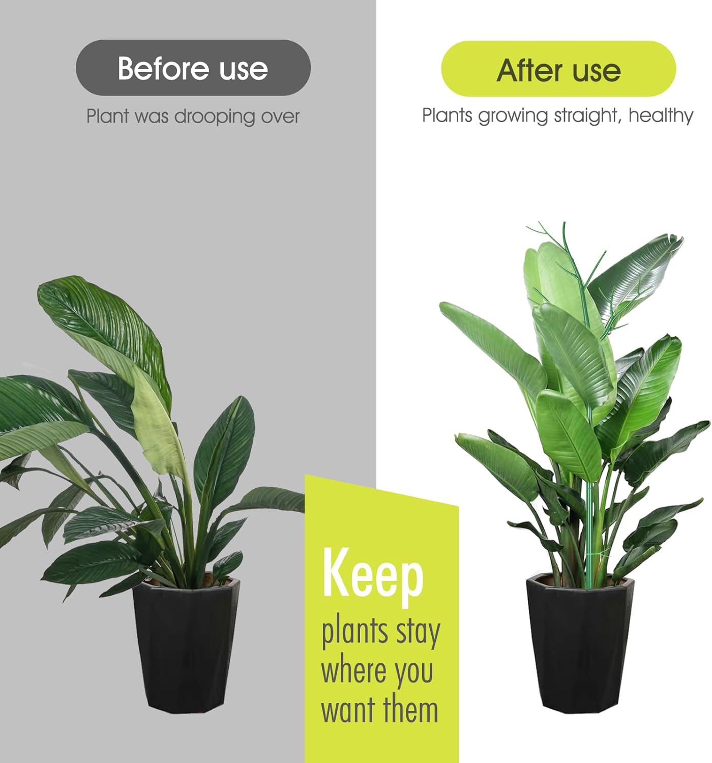 6 Pack Plant Support Stakes for Indoor Plants, 39.37 Inch Twig Plant Sticks with Orchid Clips Twist Ties and Plant Ties for House Potted Monstera Plants, Plastic Branches Support Structures, Green