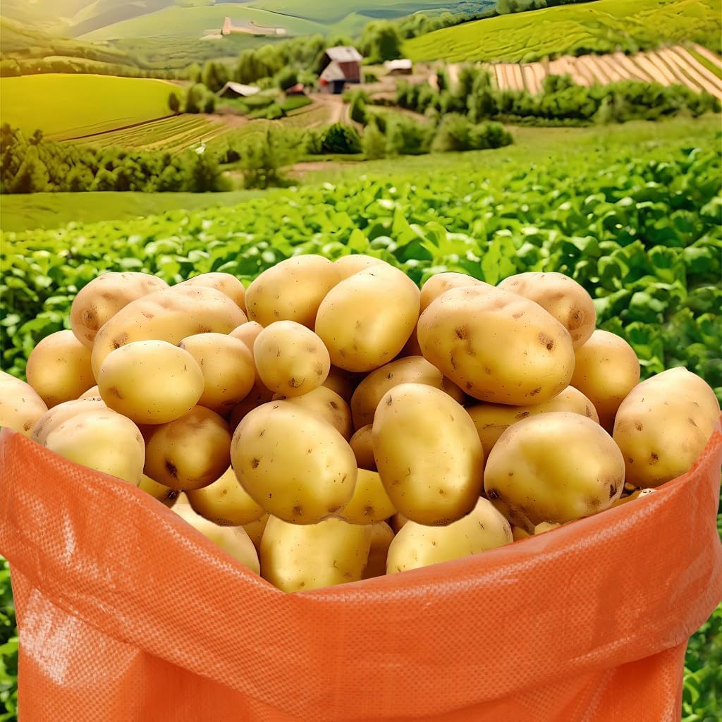 15Pcs Potato Sack Race Bags Large Size Game Race Bag for Carnival Easter Christmas School Outside Lawn Sports Games, Birthday Parties, Outdoor Family Gatherings, Barbecues