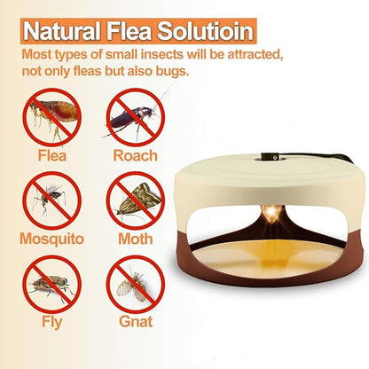 Flea Trap 4 Packs-Flea Traps for Inside Your Home, Friendly Light Trap for Indoor & Garage with 12 Sticky Disc 12 Bulbs 4 Electric Wires Bed Bug with Light for Indoor Safe to Pets & Human (Brown)