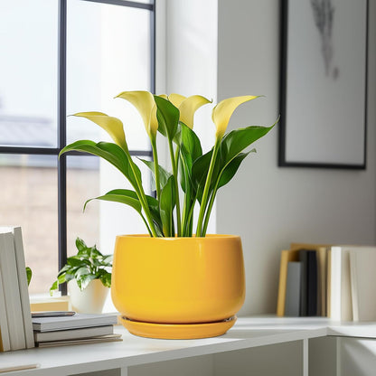 G EPGardening Ceramic Flower Pot - 9 Inch Plant Pots for Indoor Outdoor Plants, Round Ceramic Planter with Drainage and Plant Saucer, Modern Planter, Home Office Decor, Garden Gifts, Yellow