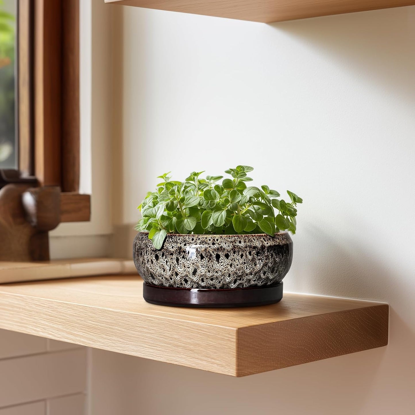 Succulent Planter 6 Inch - Ceramic Bonsai Pots with Drainage Hole and Tray, Shallow Plant Pot Indoor Outdoor, Cactus Succulent Pot, Round Bonsai Planter, Home Decor, Plant Lover Gift, White