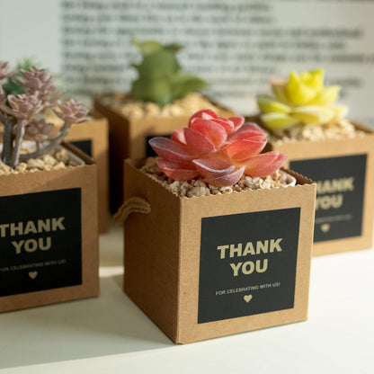 Temlum 2.5 Inch Succulent Wrap Bags (Fits 2.5″ Pots) with Thank You & Let Love Grow Stickers, Small Succulent Gift Box for Wedding, Baby Shower, Succulent Party Favors for Guests (Brown 100pcs)