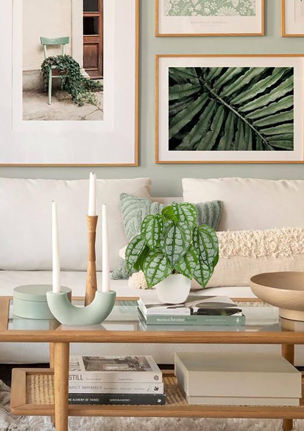Fake Plants Small Faux Potted Plant 9.8 Inches Fake Piper Sylvaticum with Pot Artificial Plants Indoor for Home Decor Bedroom Aesthetic Bathroom Shelf Living Room Office Kitchen Table Decoration