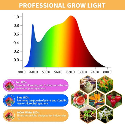 Juhefa Grow Light for Indoor Plants Growing, 4000K Full Spectrum Halo Plant Lamp for Seedlings Succulents Small Mini Plants, 3 Colors Spectrum Changeable & Auto On Off Timer 4/8/12/18Hrs (2 Pack)