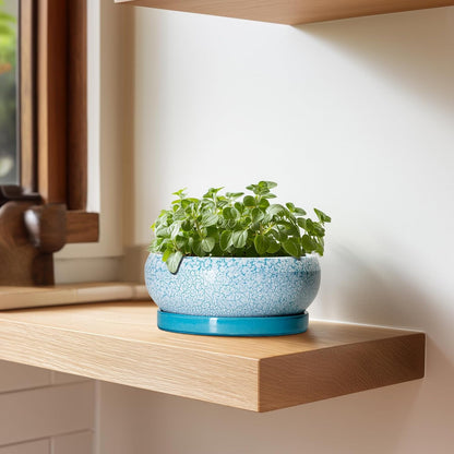 Bonsai Pots Small - 6 Inch Succulent Pots with Drainage Hole and Saucer, Succulent Planters for Indoor Outdoor, Shallow Plant Pot, Round Bonsai Planter, Office Decor, Plant Lover Gifts, Blue