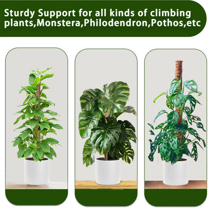 Moss Pole, 2 Pack 17 Inch Monstera Plant Support for Climbing Plants Accessories Indoor, Stackable Moss Poles Plant Support Stakes, Coir Plant Pole Sticks for Potted Plants, Pothos, Philodendron