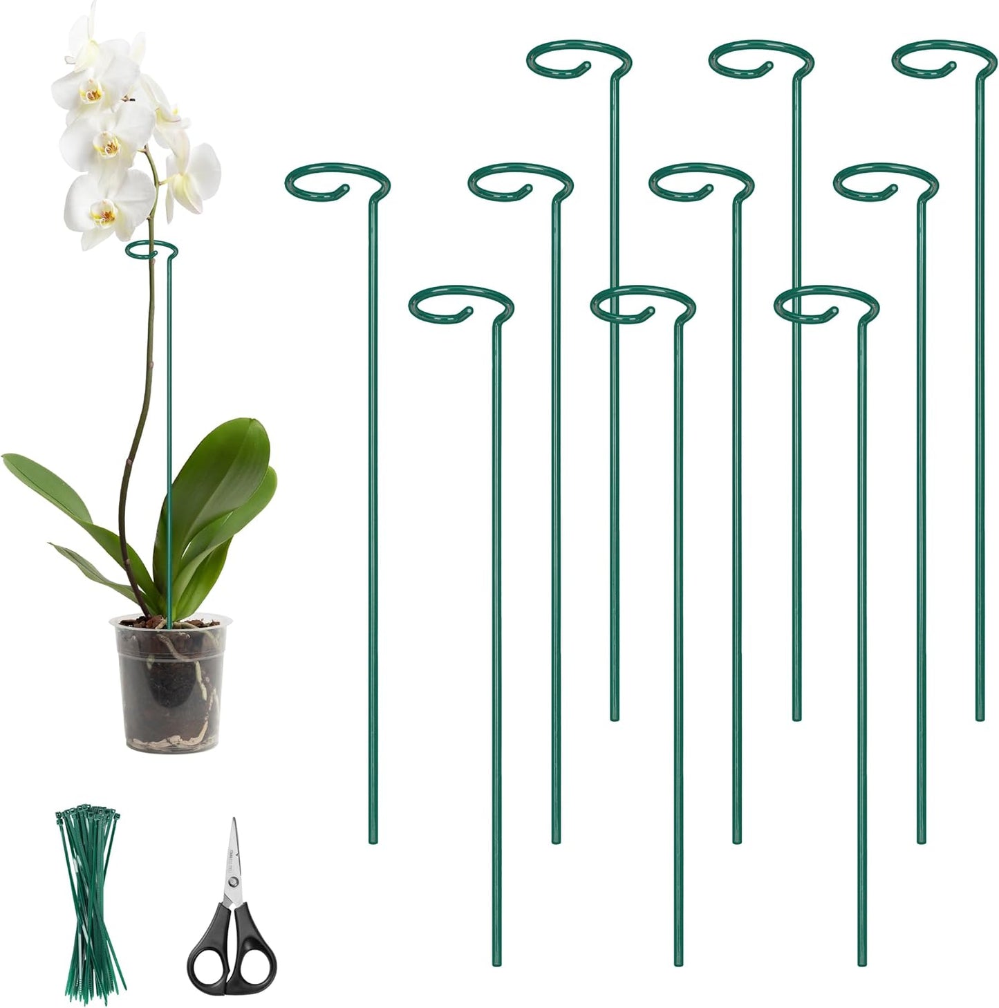 Kingsyard 24 Inch Plant Support Stake - 10 Pack, 4.5mm Thick All Metal Garden Plant Stakes Plant Prop for Single Stem Flowers Dahlia Amaryllis Orchid Lily Rose Peony Tomatoes Gladiolus