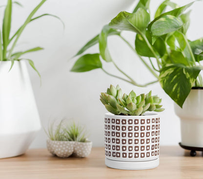 D'vine Dev Set of 2 Ceramic Planter Pots with Drainage Hole and Saucer, 4.5 Inch Plant Pots for Plants Indoor Houseplants, White, 99-Z-A-1-V