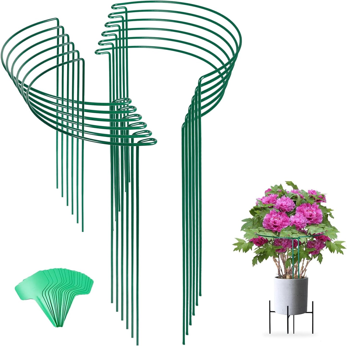 Joyhalo 12 Pack Tall Snake Plant Support Stakes for Indoor Plants 24 Inch, Peony Cages and Supports, Peony Cage with 15 Pcs Twist Ties, Monstera Plant Support for Plants Tomato, Hydrangea, Monstera