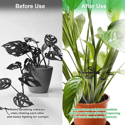 12pcs Climbing Houseplant Stem Supports,Plant stem Support Indoor Outdoor Use,Stem Hook Growth Accessories for Plant Garden, Promotes Upright Growth and Airflow(Black)