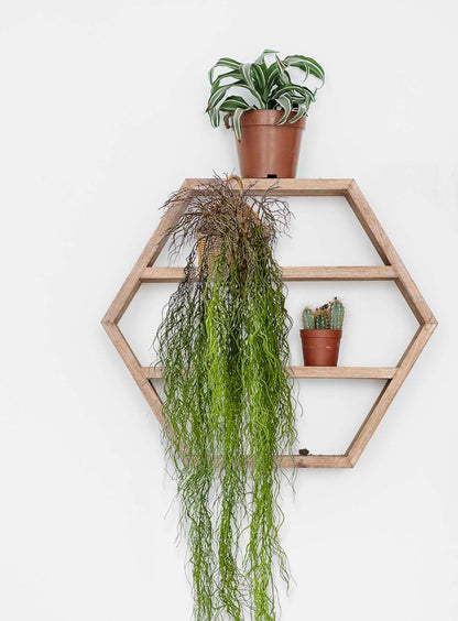 3 Fake Hanging Plants with Roots, 51 inch Faux Ivy Vines Hanging Greenery for Party Green Backdrop, Home Office Farmhouse Living Room Greenery Wall, Bathroom, Outdoor Porch Decoration