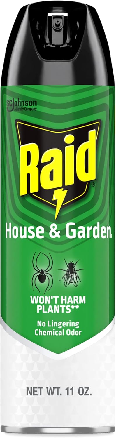 Raid House and Garden Insect Killer, Kills Ants, Roaches, Spiders and Flies on Contact, 11oz
