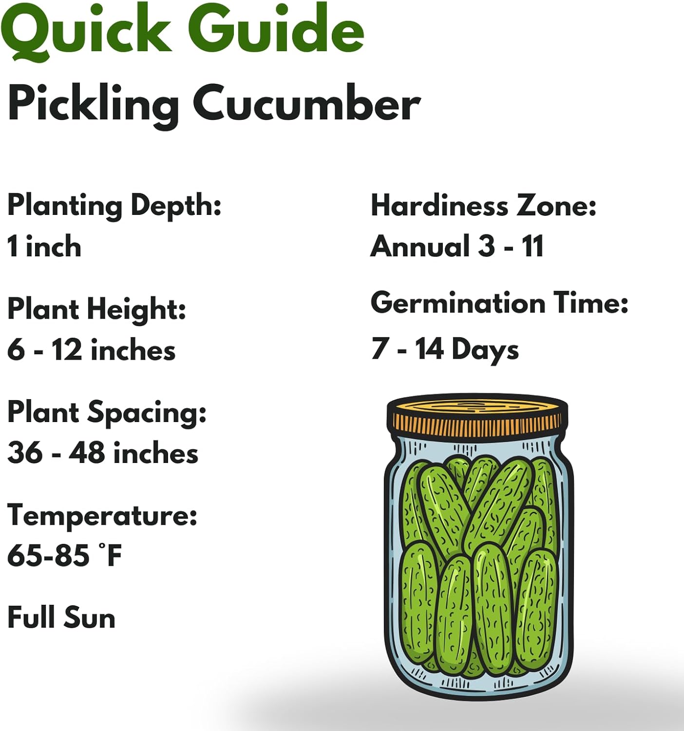 Over 150 Pickling Cucumber Seeds – Organic Heirloom, Non-GMO, High Germination Rate – Perfect for Planting in Home Gardens & Fresh Pickles