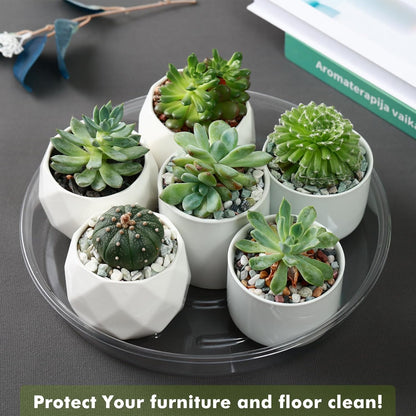 Plant Saucer 30 Pack Plant Trays for Pots 4/6/8/10/12 Inch Plastic Plant Saucers for Outdoors & Indoors Clear Drip Trays for Potted Plants Flower Pot Plates to Catch Water Drainage Dishes No Holes