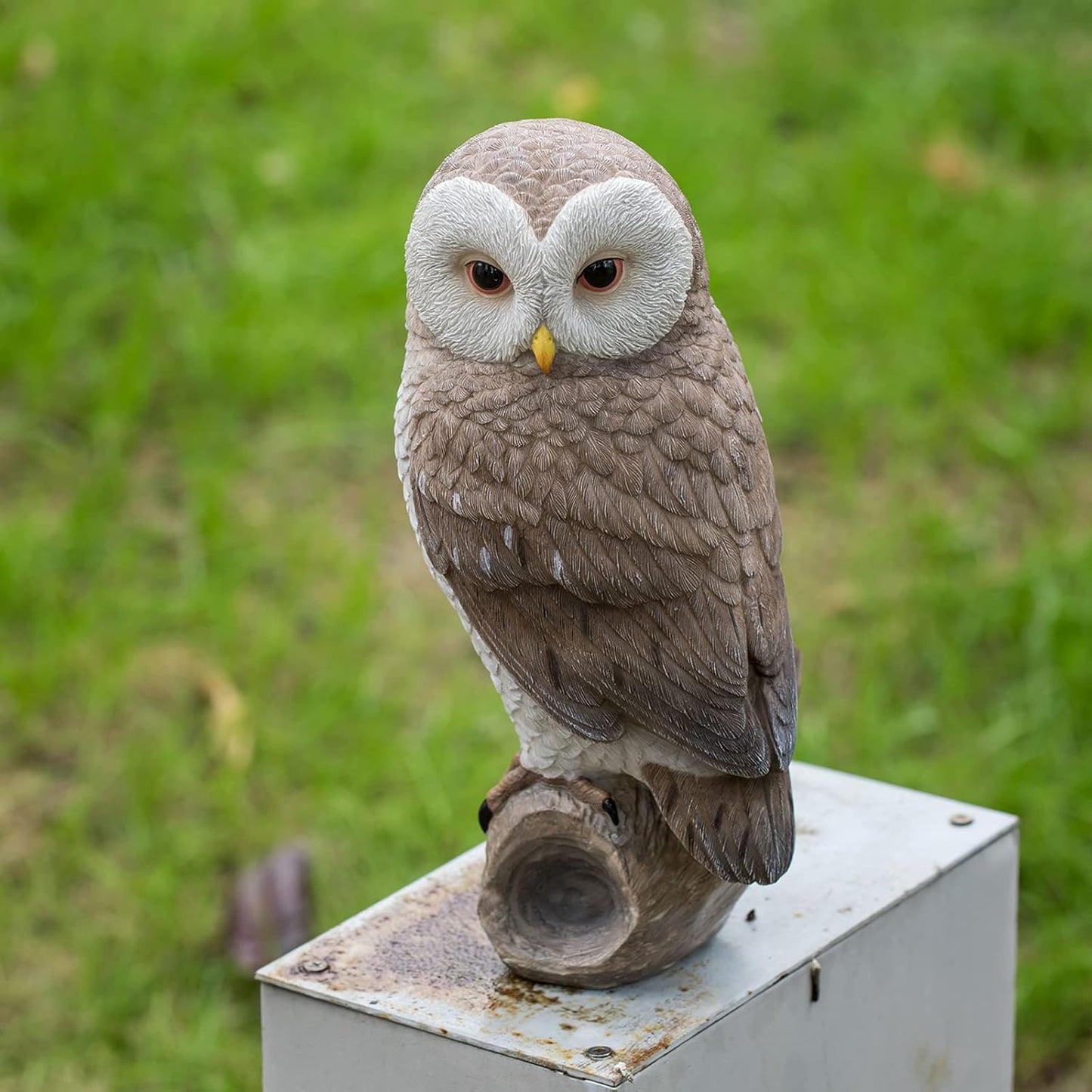 Owl Outdoor Statues Garden Yard - Decoration Home Decor Indoor Desk Tabletop Collectible Figurines Ancient Retro Collection 11" x4.5" x5 Inch