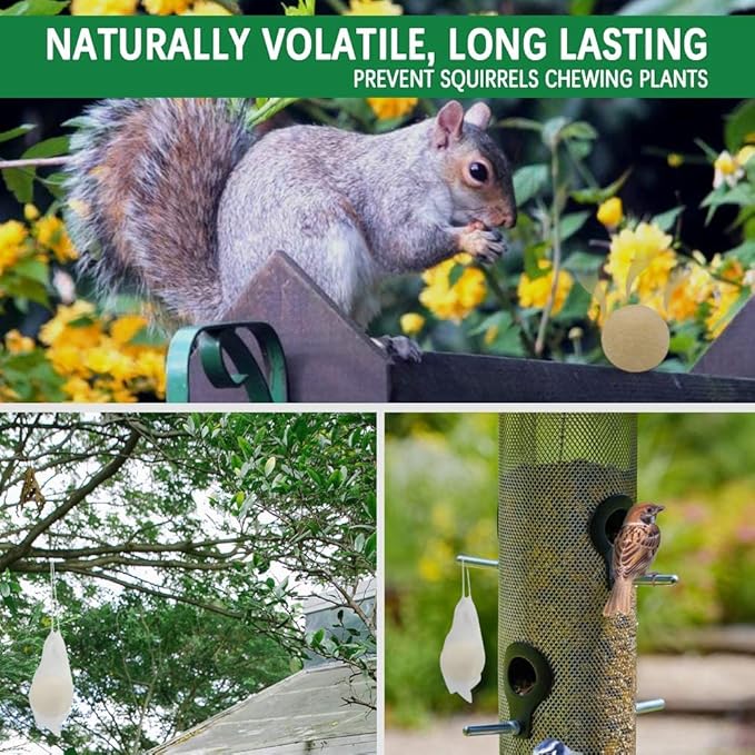 Squirrel Repellent, Chipmunk Repellent Outdoor, Squirrel Deterrent Balls, Safe for Garden, Attic, Bird Feeders, Garage, Lasting 60 Days-12 Packs
