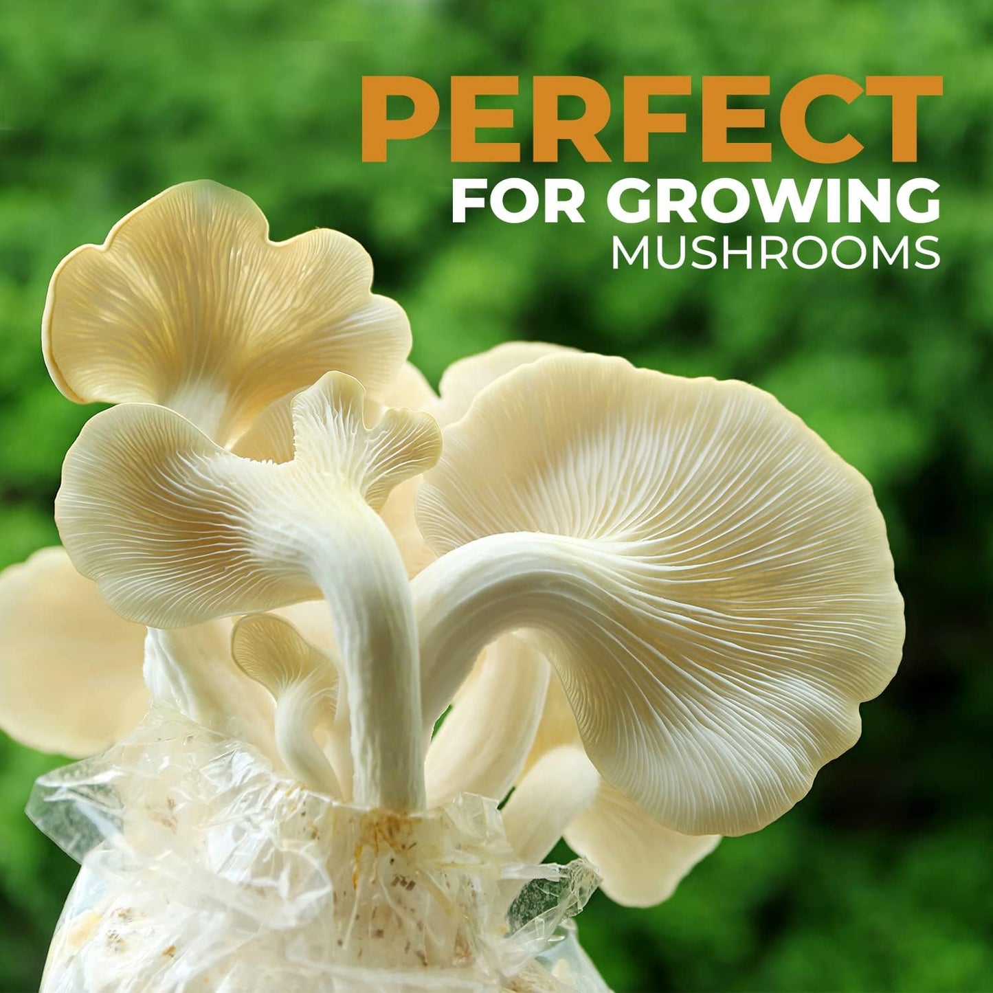 40 Pack, Mushroom Grow and Spawn Bags - Extra Thick Polypropylene Material, Tear Resistant - Size 13" x “4 x “4 with 0.2 Micron Filter Breathable - Spawn Rye