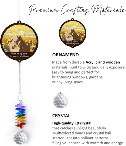 2 Layered Ornament Suncatcher Birthday Gifts for Dog Lover - Pet Memorial Suncatcher - Dogs Sympathy Hanging Ornament - Pet Sympathy - Thoughtful Remembrance - Rainbow Maker