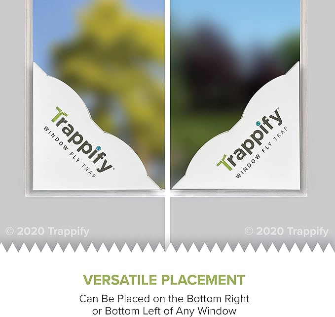 Trappify Fly Trap Indoor: Window Fly Traps for Home | Fruit Fly Traps for Indoors, Gnat Traps for House Indoor | Disposable Fly Trap with Sticky Adhesive Strips | Inside Bug Catchers (24 Pack)