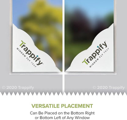 Trappify Fly Trap Indoor: Window Fly Traps for Home | Fruit Fly Traps for Indoors, Gnat Traps for House Indoor | Disposable Fly Trap with Sticky Adhesive Strips | Inside Bug Catchers (4 Pack)