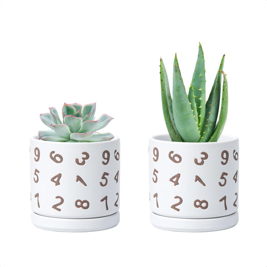 D'vine Dev Set of 2 Ceramic Planter Pots with Drainage Hole and Saucer, 4.5 Inch Plant Pots for Plants Indoor Houseplants, White, 99-Z-B-1-V
