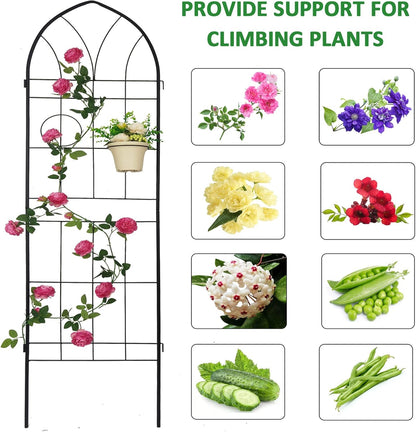 4 Pack Metal Garden Trellis 78.7" H Garden Fence Rustproof Trellis for Climbing Plants Support Roses Flower Outdoor Lawn Black