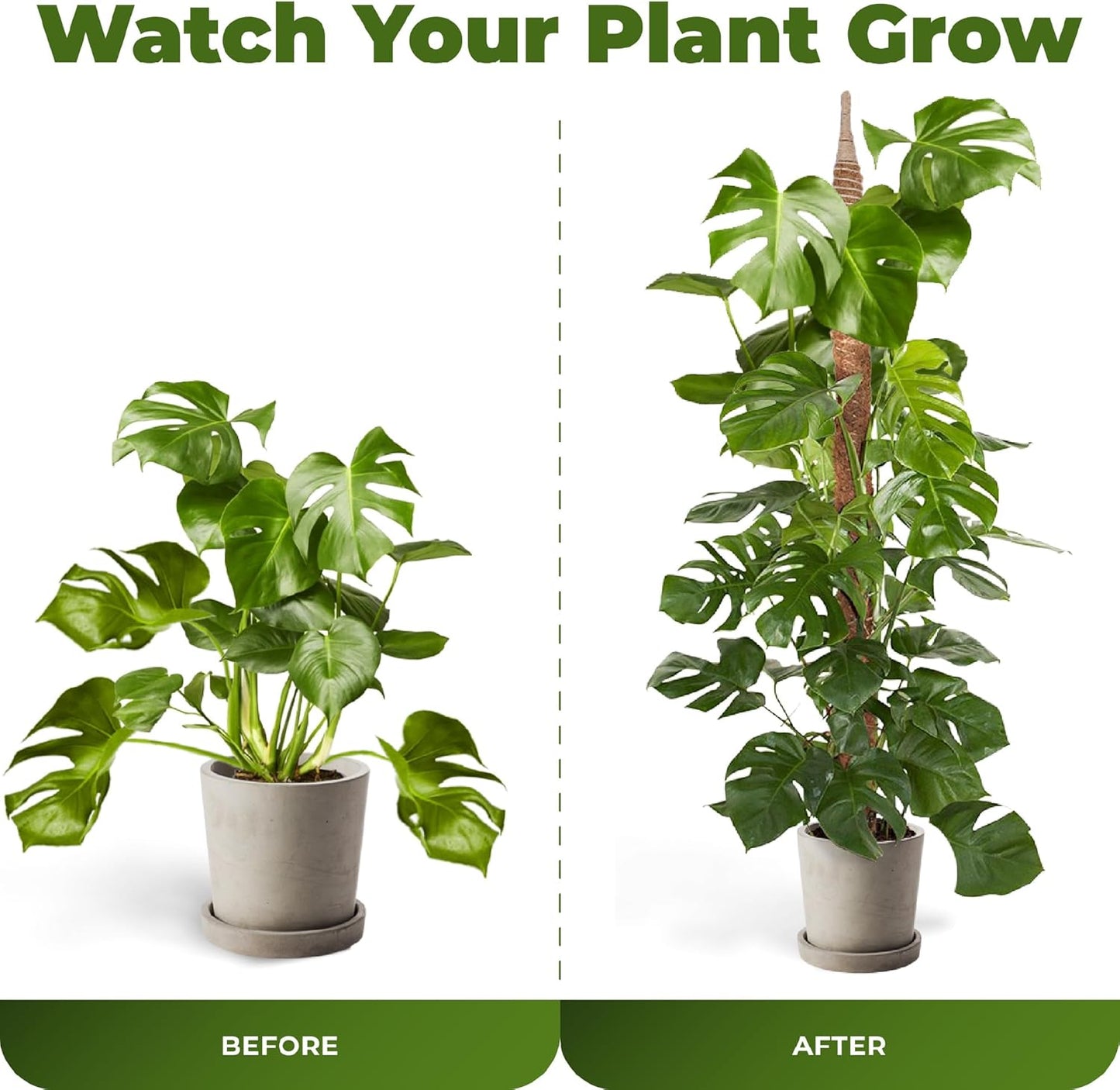 2 Pack 48 Inch Bendable Moss Pole Monstera Plant Support Stakes for Indoor Plants - Tall Moss Stick Trellis for Potted Climbers - Stem Support Accessories for Climbing Houseplants