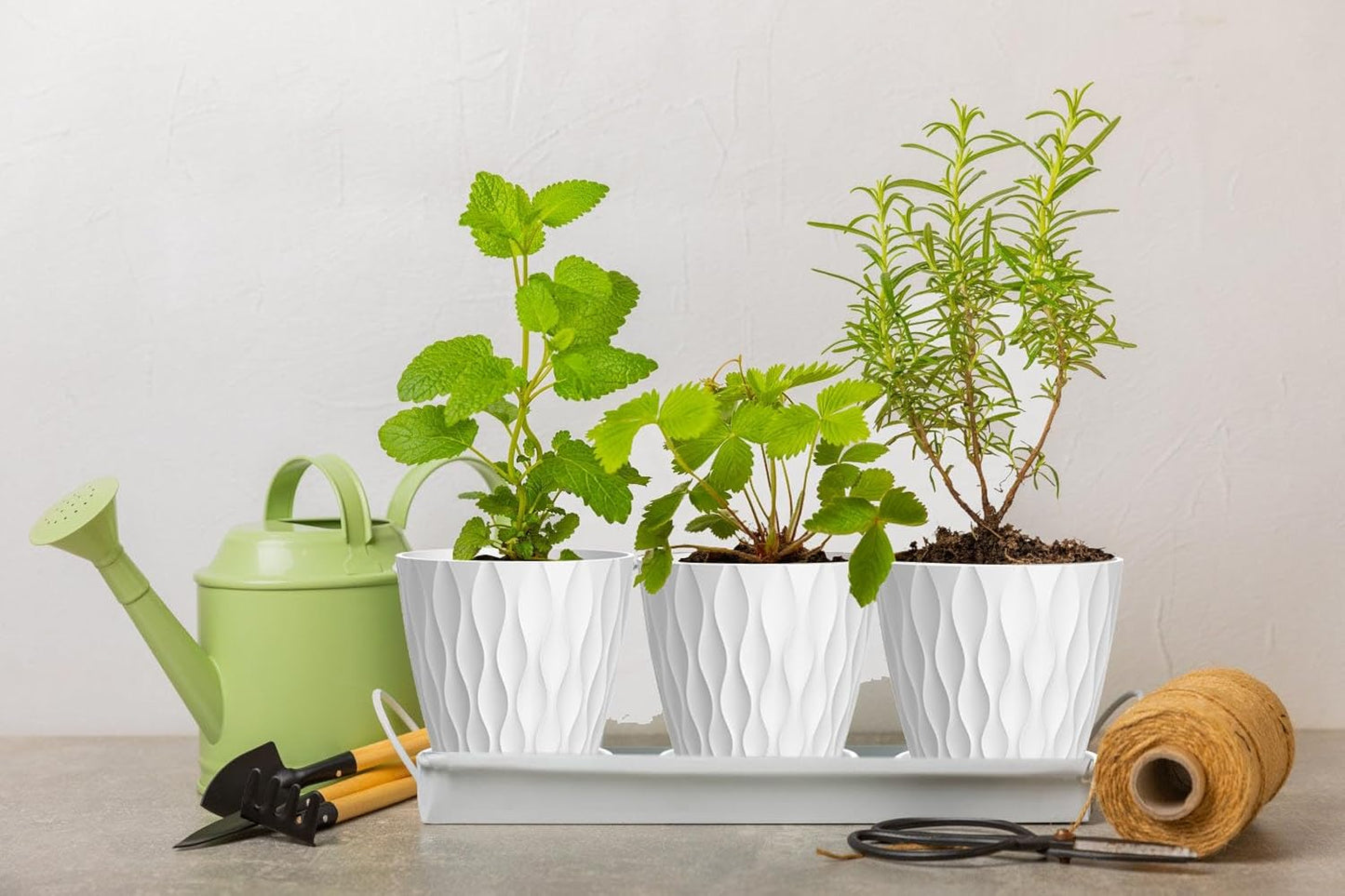 6 Inch Plant Pots, 6 Pack Indoor Flower Pots, Planters with Drainage Holes and Trays for Orchids, Violets, Succulents, Herbs, and Other Plants,White