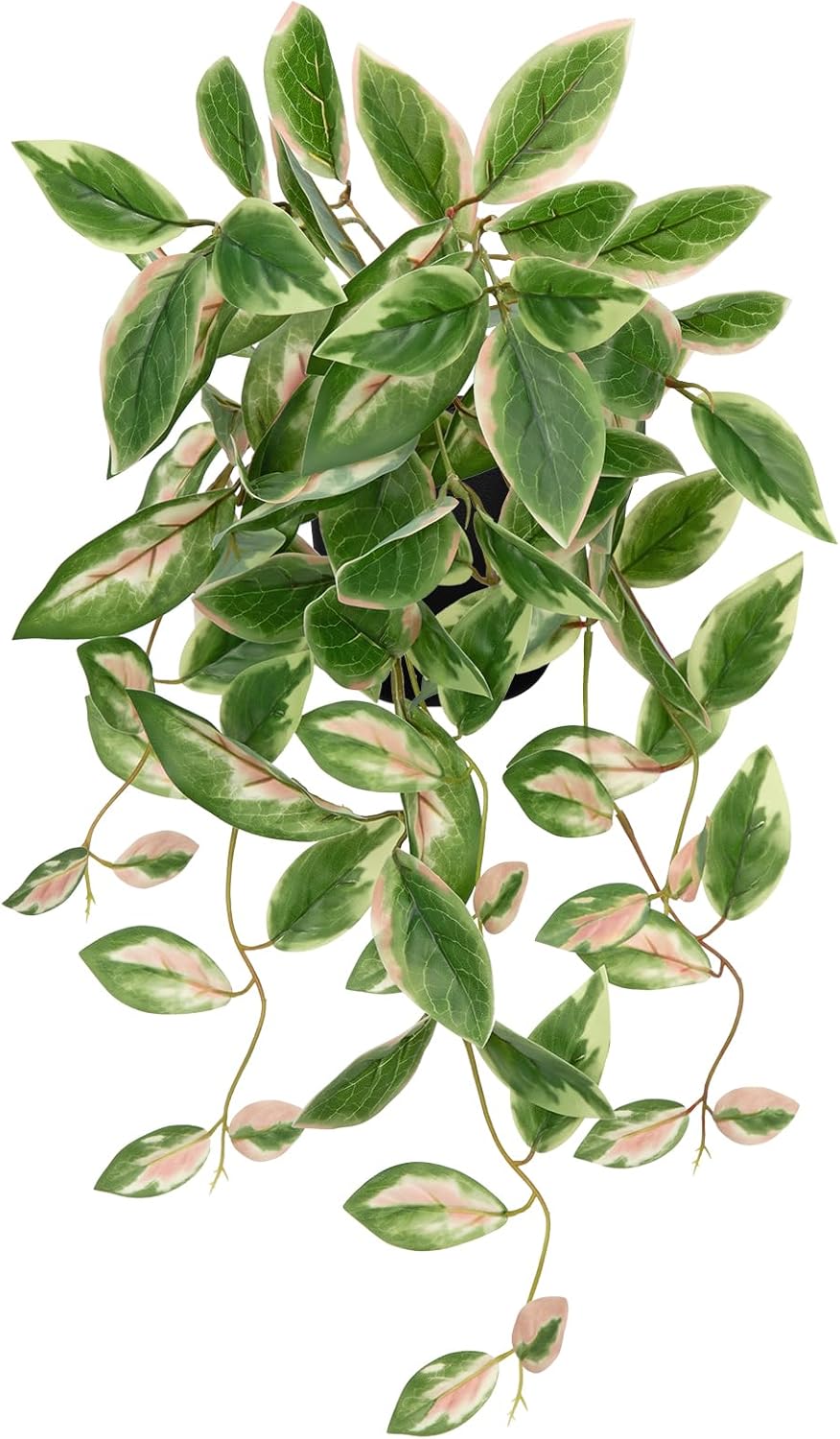 DILATATA Fake Plants Artificial Potted Plants 20 Inch Faux Peperomia Ivy Vine Plant Hanging Plant for Home Office Desk Shelf Indoor Outdoor Decor