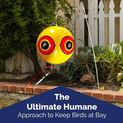 Bird-X Scare-Eye Balloons, Predator 3D Eye Balloons with Glaring, Bright Colors, Cover up to 6,000 sq. ft. Area, Pack of 3, Yellow, White, and Black