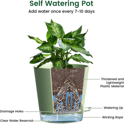 6 inch Self Watering Pots for Indoor Outdoor Plants, 6 Pack Flower Plant Pots with Drainage Holes and Clear Reservoirs, Visible Water Level, Plastic Planters with Wicking Rope, Green