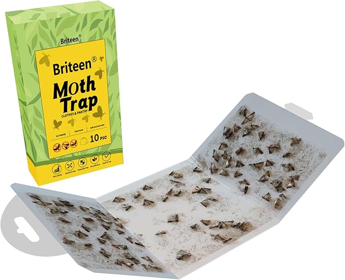 Pantry Moth Traps 10-Pack Safe and Effective for Food and Clothing- Glue Traps with Pheromones for Wool Closet Carpet Food and Cupboard K02