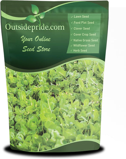 Outsidepride Perennial Clover King Seed Mix - 10 lbs Nitrocoated, Inoculated, Heat & Cold Tolerant, Alfalfa-Enhanced Food Plot Seeds for Deer & Wildlife, Ideal for Spring, Summer, & Winter Plots