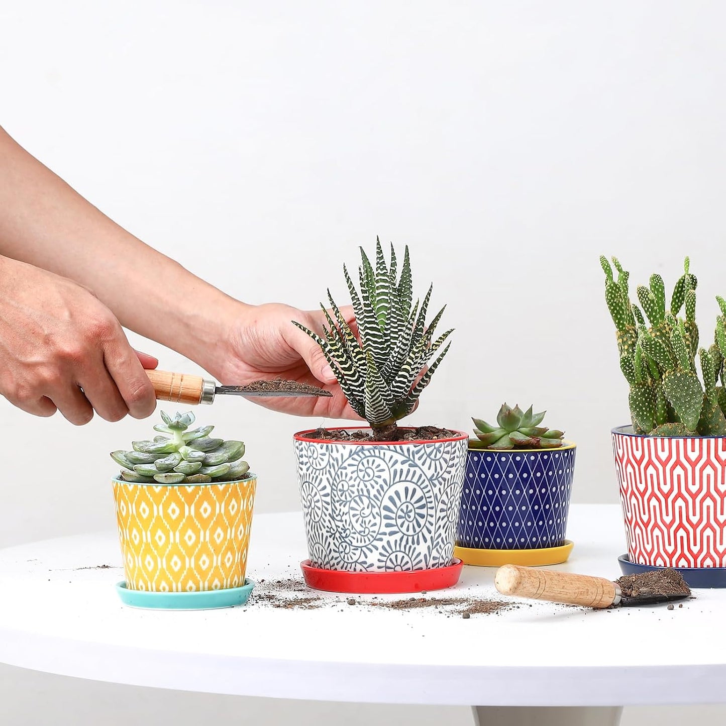 Selamica Ceramic Succulent Pots, 4.3 Inch Small Plant Pots with Drainage Holes and Saucers, Small Flower Pots for Succulent, Cactus, Home Decor, Set of 4, Assorted Colors