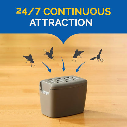 Hot Shot Flying Insect Trap, Discreet, Hassle-Free Trap Attracts, Captures House Flies and Fruit Flies, 24/7 Continuous Attraction, No Plug-in Or Electricity Needed, 6 Count