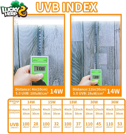 LUCKY HERP 15inch 14W T8 UVB 10.0 Reptile Light, UVA UVB Bulb, Fluorescent Lamp for Reptiles Amphibian