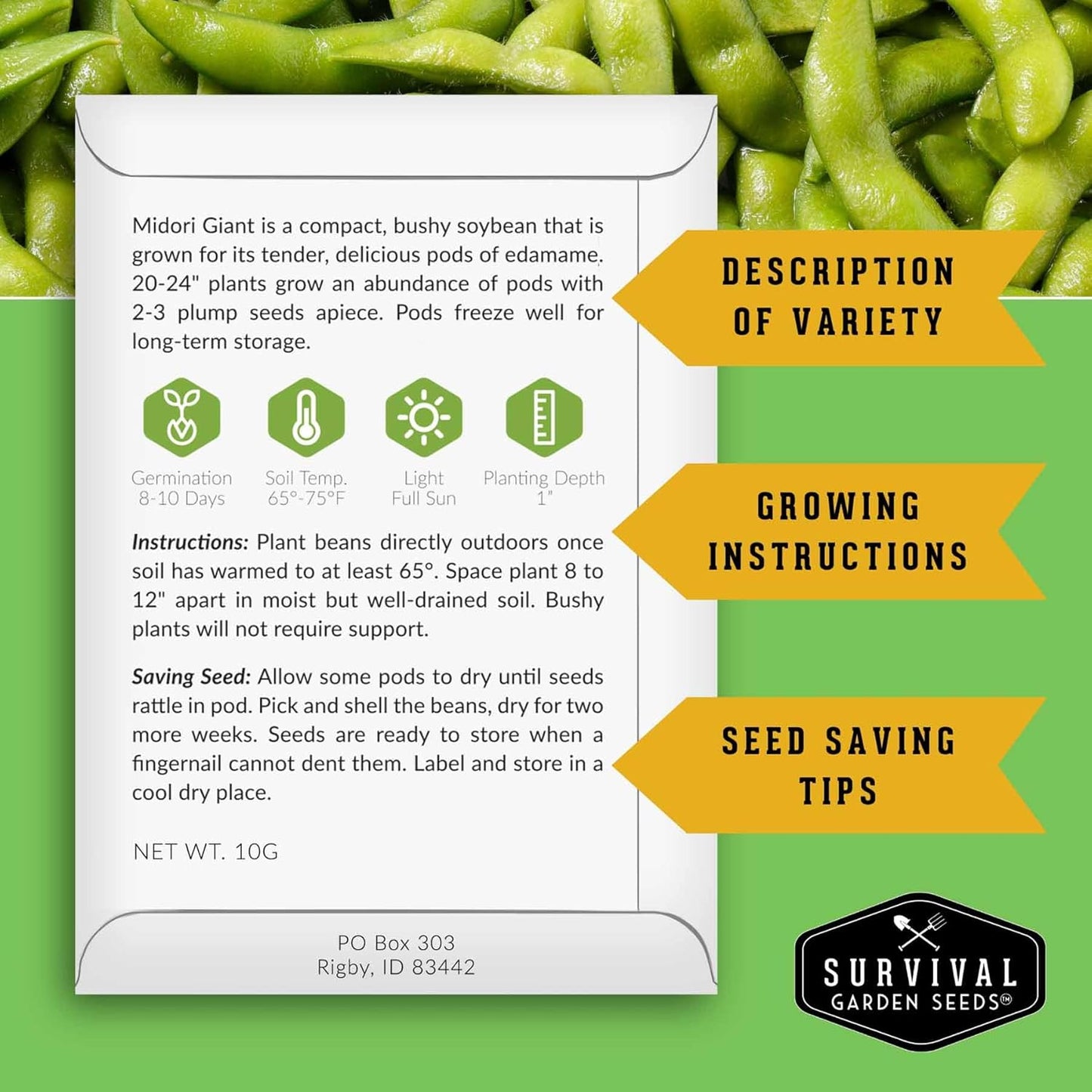 Midori Giant Soybean Seeds for Planting - Grow Protein-Rich Edamame Pods in Your Home Vegetable Garden - Non-GMO Heirloom Soy Bean - Survival Garden Seeds (5 Packs)