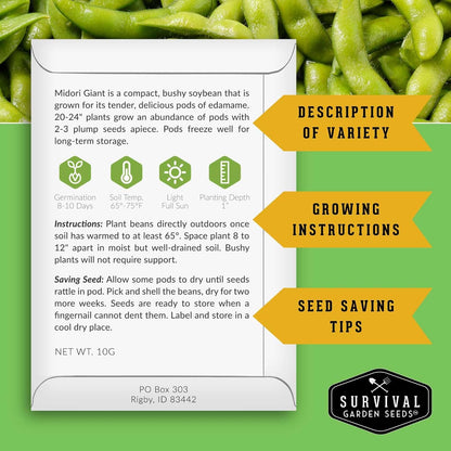 Midori Giant Soybean Seeds for Planting - Grow Protein-Rich Edamame Pods in Your Home Vegetable Garden - Non-GMO Heirloom Soy Bean - Survival Garden Seeds (5 Packs)