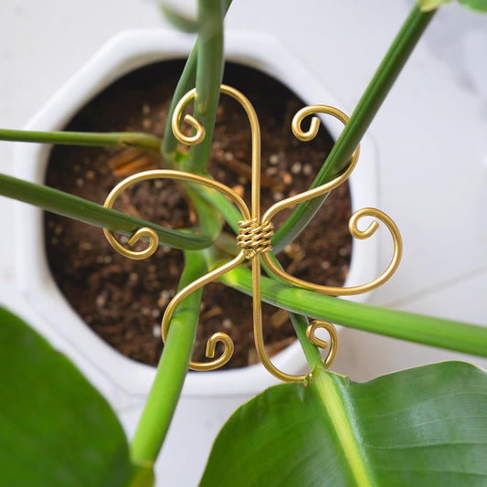 5PCS Monstera Plant Support System 4.1IN - Durable Hook Stem Supports for Healthy Growth