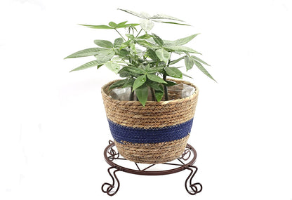 Flower Pot Stand Heavy Duty 2 Pack Planter Holder Indoor Outdoor Home & Garden Decor(Champagne)