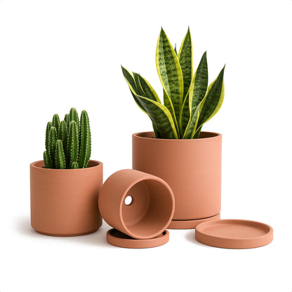 D'vine Dev 3-Pack Classic Terracotta Pots & Saucers, 4/5/6 in, 40-T-A-0