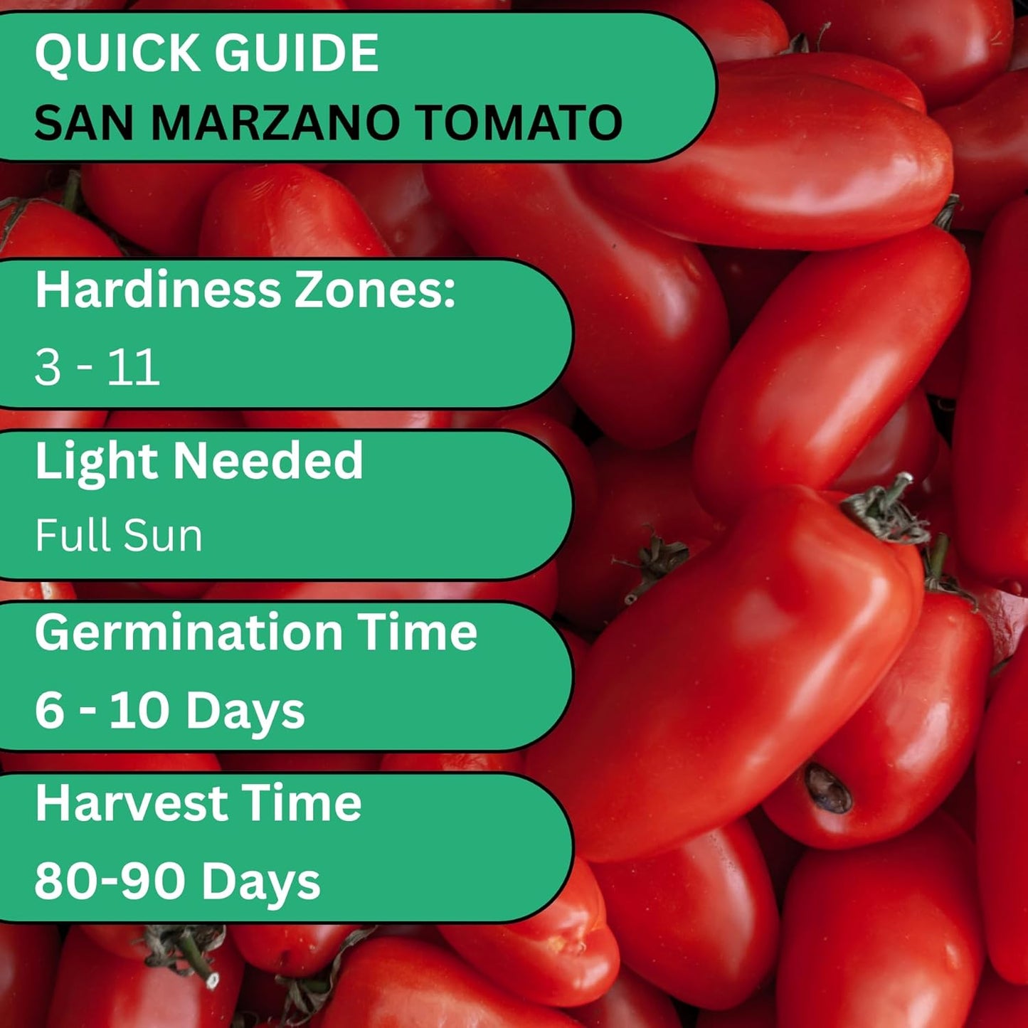 Woods Creek Seeds: San Marzano Tomato Seeds for Planting - Heirloom Tomato Seeds for Planting Outdoors, Indoors, Patio or Home Plant Garden - Non-GMO Seed Pack of Tomatoes for Italian Paste Variety