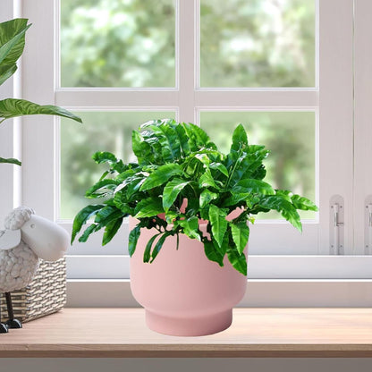LB Pink Ceramic Plant Pots for Indoor Plants, Succulent Planters Ceramic Plant Pot, Cute Flower Pots for Living Room Office Home Decor, Round Flower Pot of 4.3 Inch(Plant Not Included)