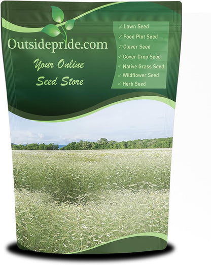 Outsidepride Blue Grama Native Grass Seed - 1 lb. Perennial, Drought Tolerant & Low Maintenance, Pasture Seeds for Planting Densely Tufted Leaves, Ideal for Hay Foraging, Grazing & Erosion Control
