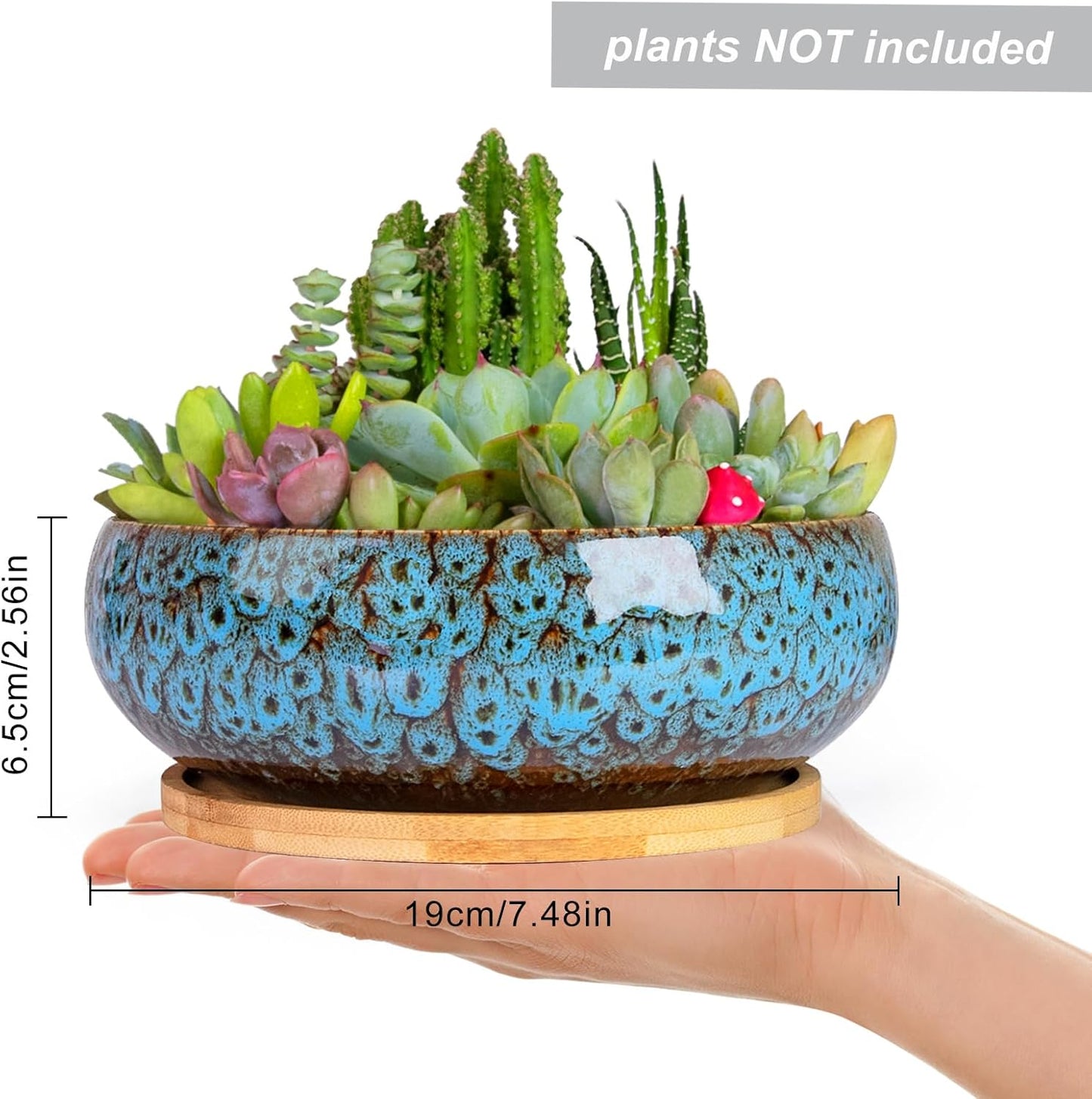 ARTKETTY Succulent Pots - 7.5 Inch Large Plant Pot with Bamboo Tray, Shallow Bonsai Pots with Drainage, Ceramic Planter for Indoor Plants, Cactus, Home Office Desk Decor