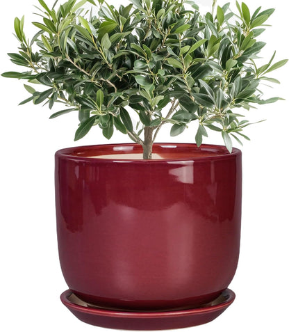 Ceramic Flower Pot for Plants - Cylinder Modern 8 Inch Plant Pot Indoor with Drainage Hole and Saucer, Home Office Room Porch Decor, Red