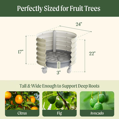 Rolling Metal Citrus Tree Planter, Self-Watering Round Planter Box for Porch Patio & Backyard, Raised Garden Bed with Wheels for Growing Trees Tomatoes Vegetables and Flowers, Single Pack-Pearl White